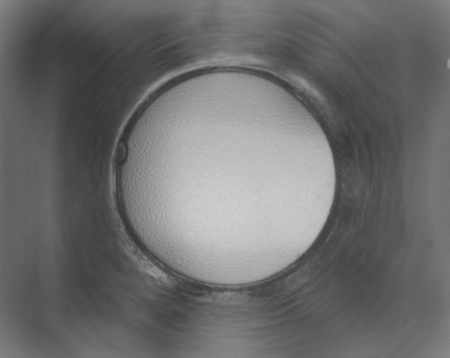 X0000073851280200609071557