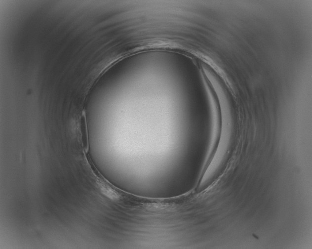 X0000073851281200609071557