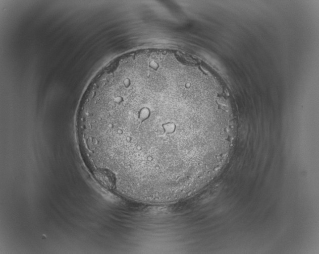 X0000073851283200609071557