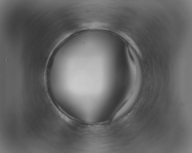 X0000073851285200609071557