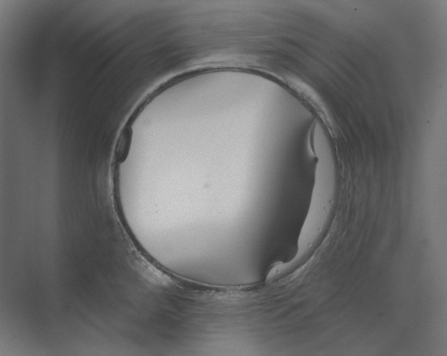 X0000073851288200609071557