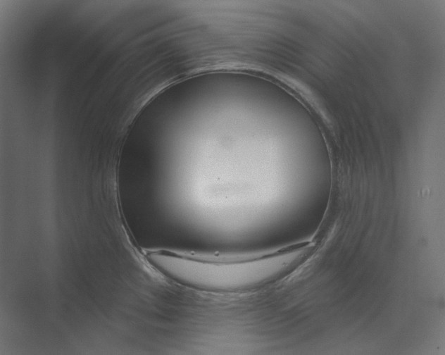 X0000073851289200609071557