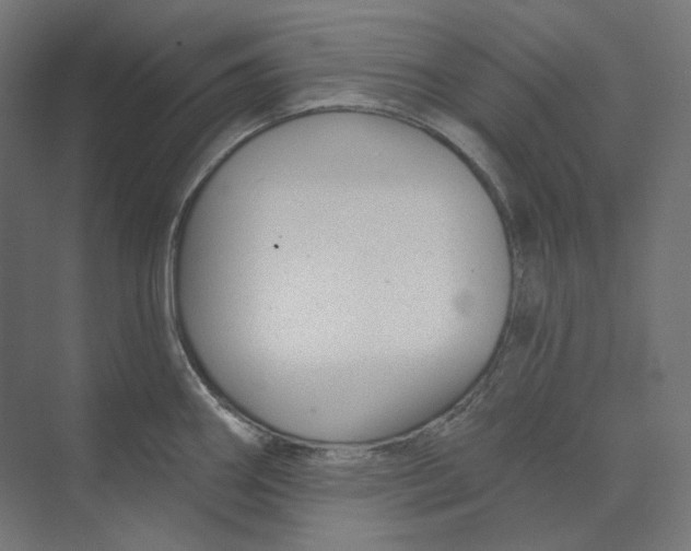 X0000073851290200609071557