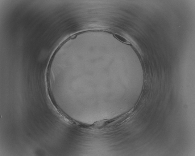 X0000073851291200609071557