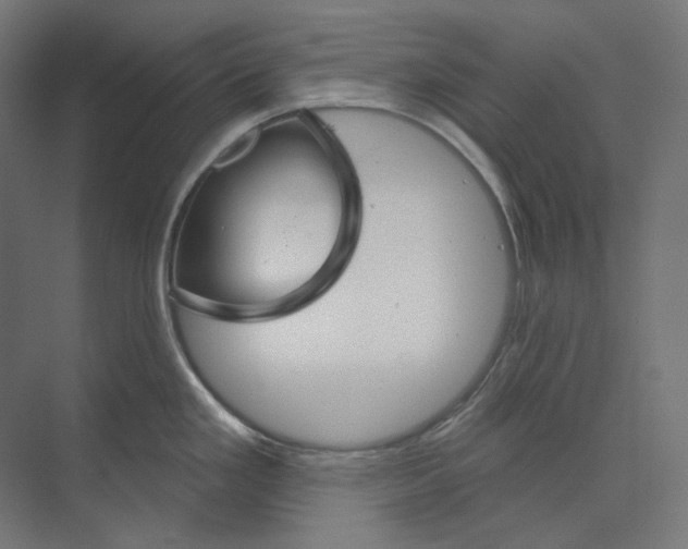 X0000073851293200609071557