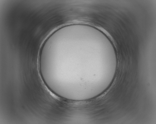 X0000073851294200609071557