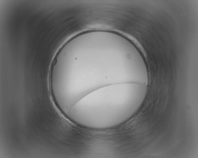 X0000073851295200609071557