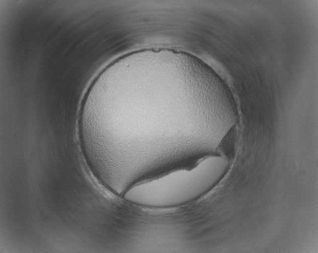 X0000073851296200609071557