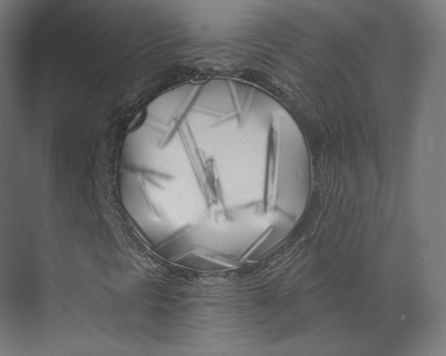 X0000073851297200609071556