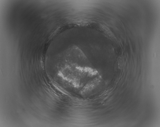 X0000073851298200609071556