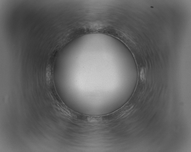 X0000073851299200609071556