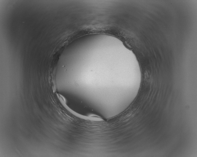 X0000073851300200609071556