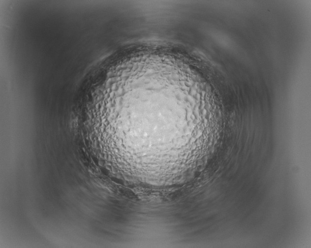 X0000073851302200609071556