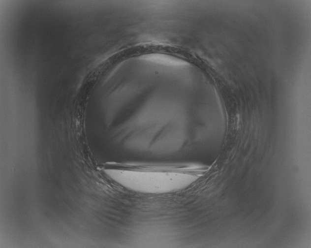 X0000073851303200609071556