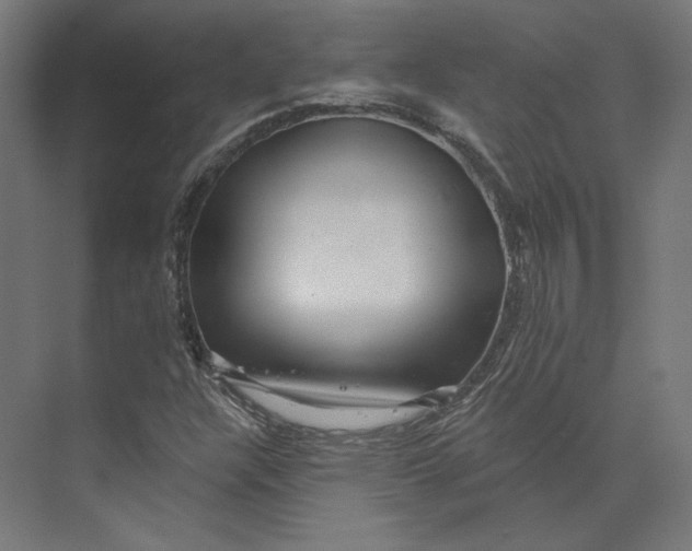 X0000073851304200609071556