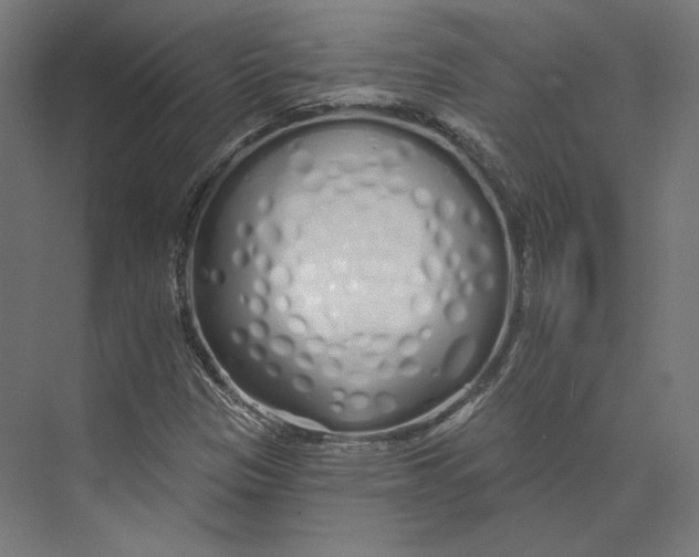 X0000073851305200609071556