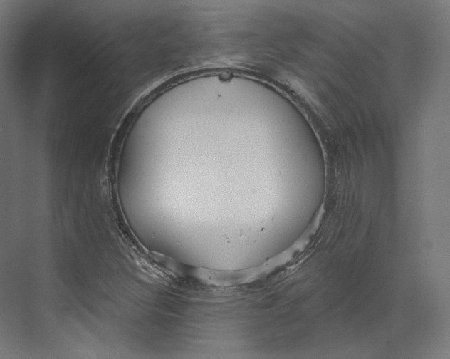 X0000073851308200609071556