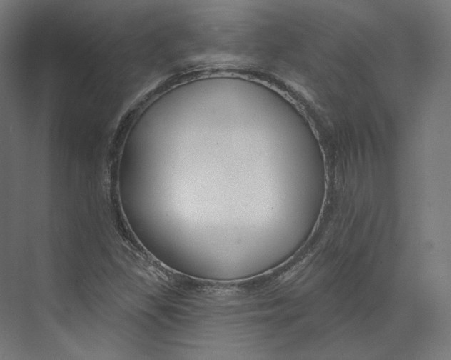 X0000073851309200609071556