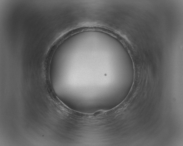 X0000073851311200609071556