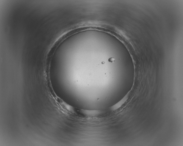 X0000073851312200609071557