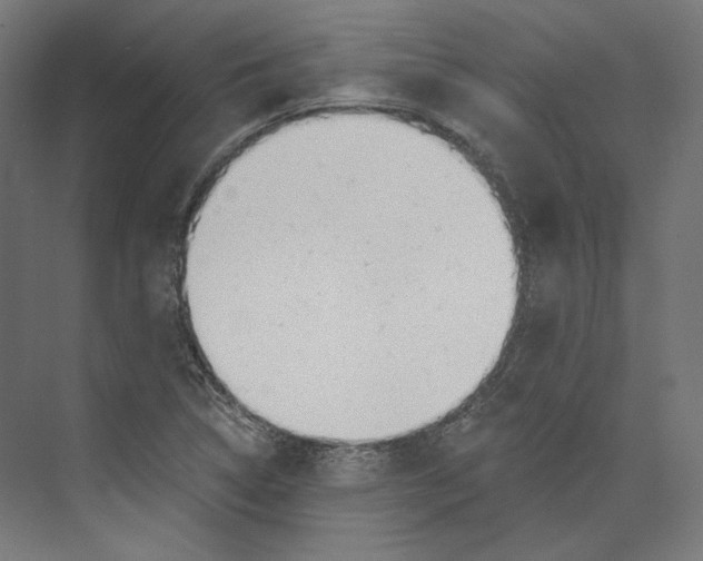 X0000073851314200609071557