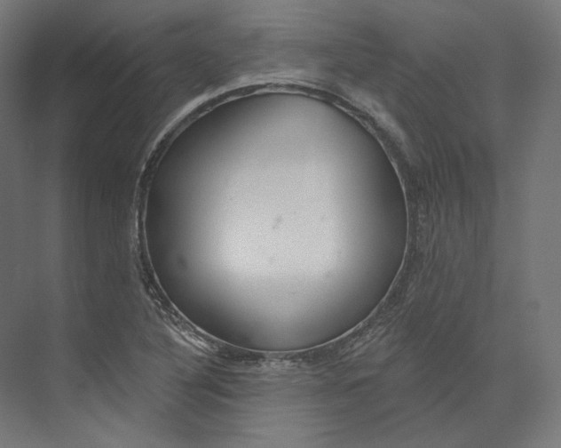 X0000073851316200609071557