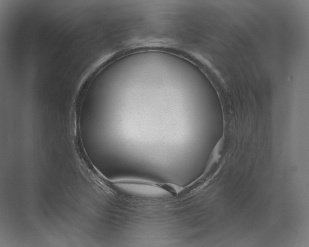 X0000073851317200609071557