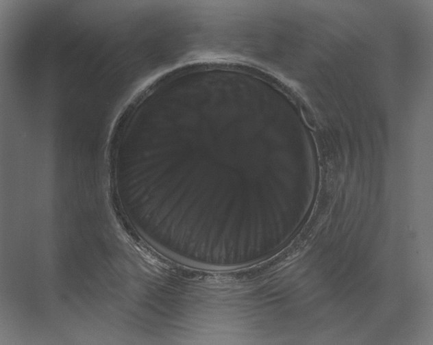 X0000073851319200609071557