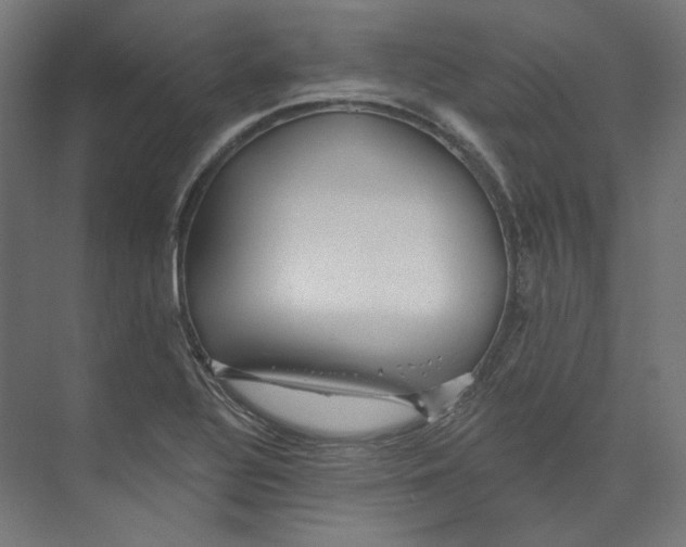 X0000073851320200609071557