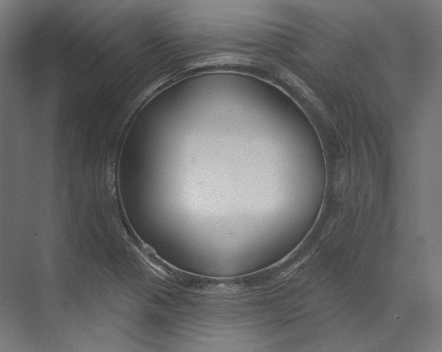 X0000073851321200609071557