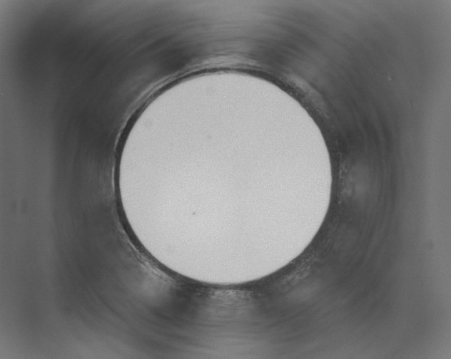 X0000073851322200609071557