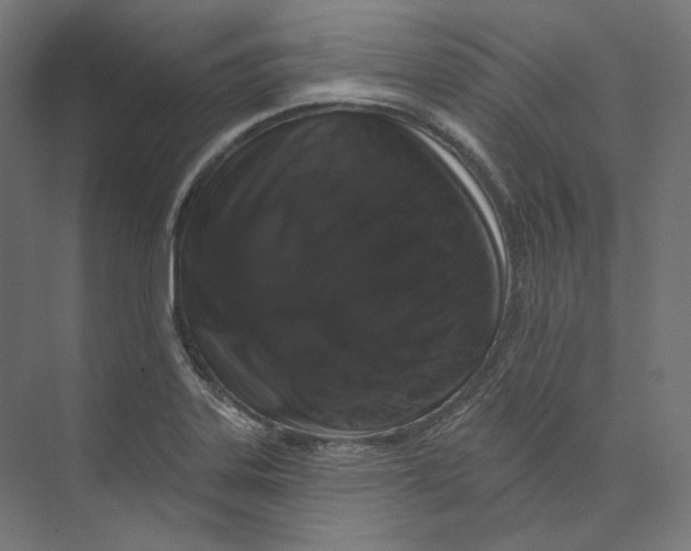 X0000073851323200609071557