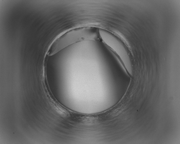 X0000073851324200609071557