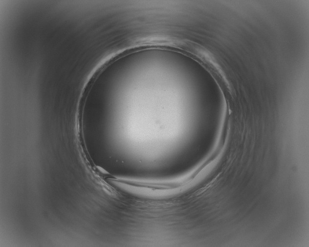 X0000073851328200609071557