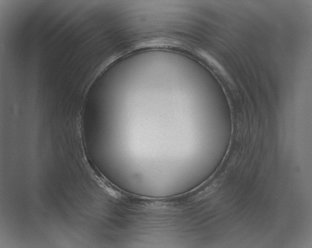 X0000073851329200609071557