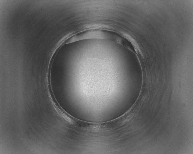 X0000073851330200609071557