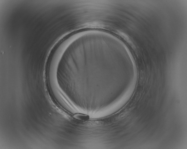 X0000073851331200609071557