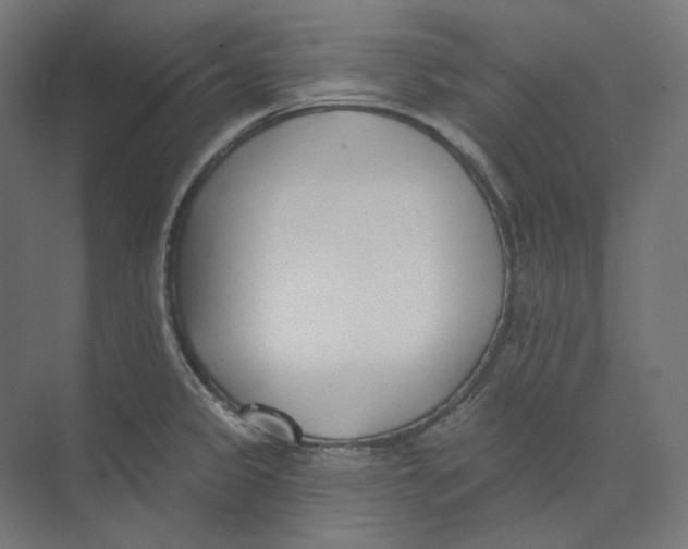 X0000073851333200609071557