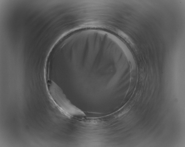 X0000073851334200609071557