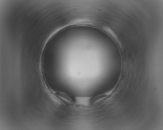 X0000073851336200609071557