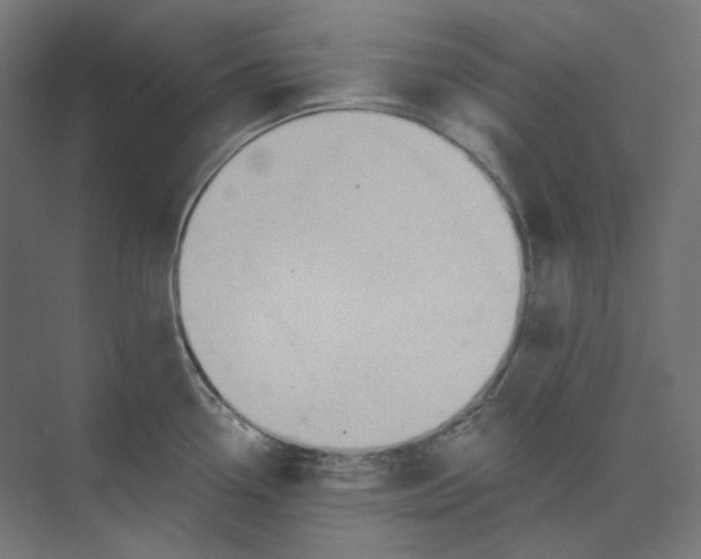 X0000073851338200609071557