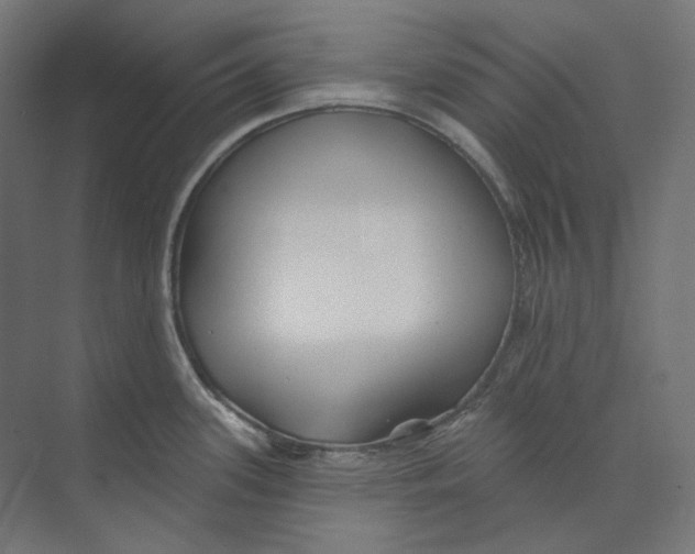 X0000073851339200609071557