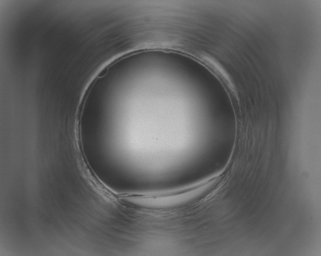 X0000073851340200609071557