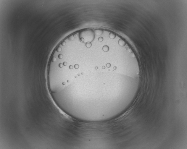 X0000073851343200609071557