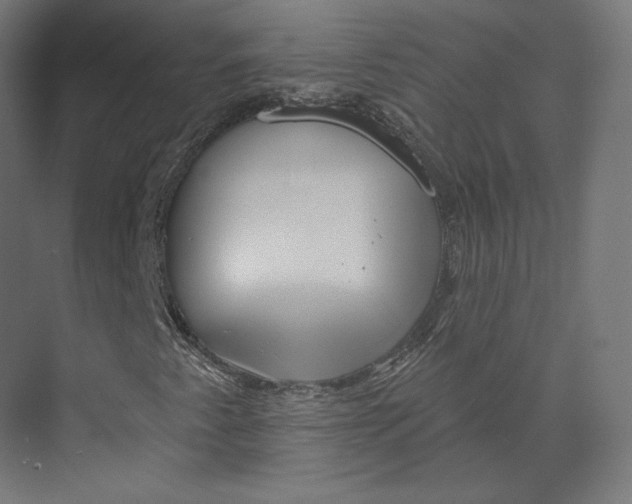 X0000073851345200609071556