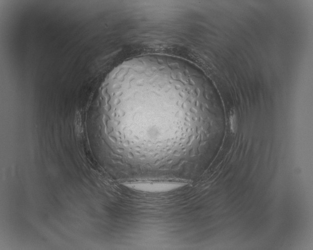 X0000073851347200609071556