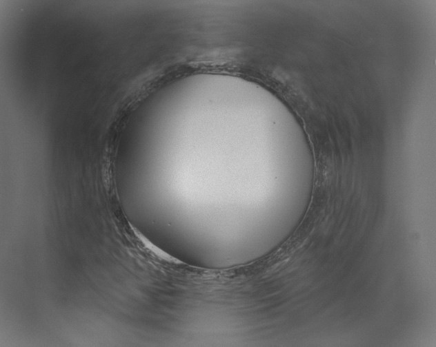 X0000073851350200609071556