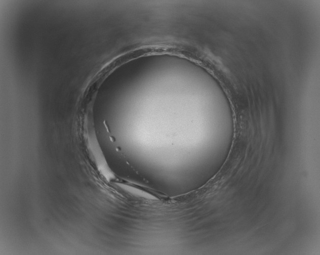 X0000073851352200609071556