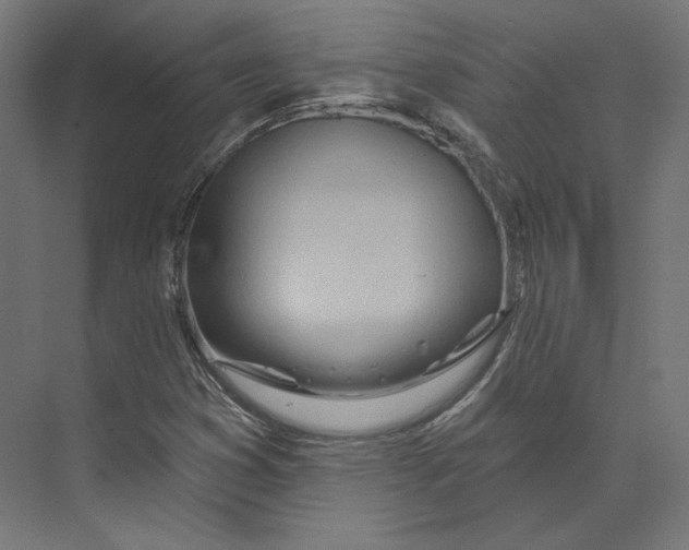 X0000073851353200609071556