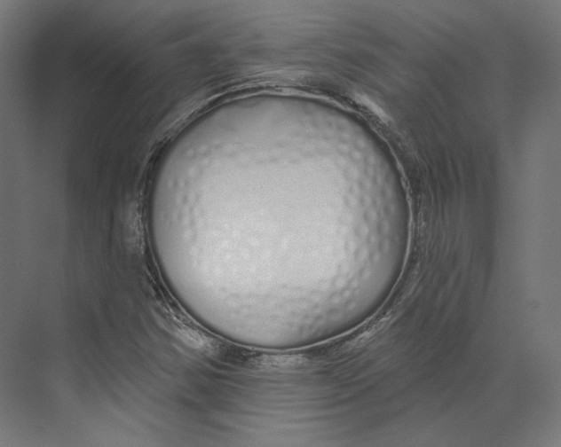 X0000073851354200609071556